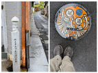20260410_174517-COLLAGE.jpg