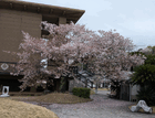 PXL_20260410_033719798.jpg