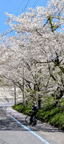 PXL_20260411_011708204.MP~2.jpg