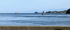 PXL_20260411_074004478.MP~2.jpg