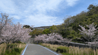 PXL_20260412_023758318.jpg