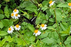PXL_20260419_044745618~2.jpg