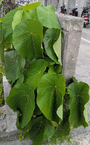 PXL_20260419_073634006~2.jpg